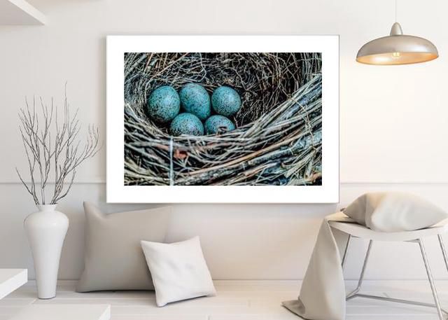 Bird's nest Environment