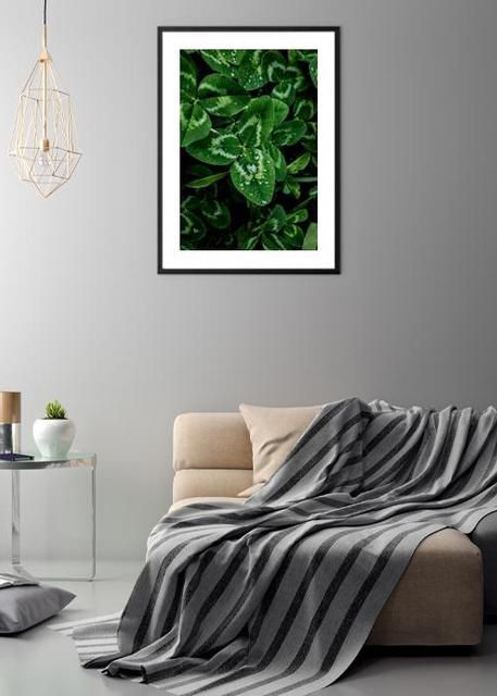 Clover Environment
