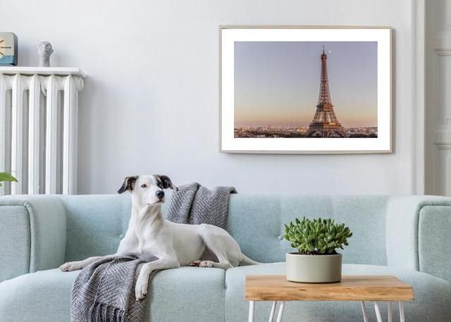 Tour Eiffel Environment