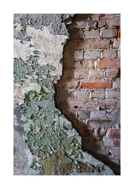 Decay