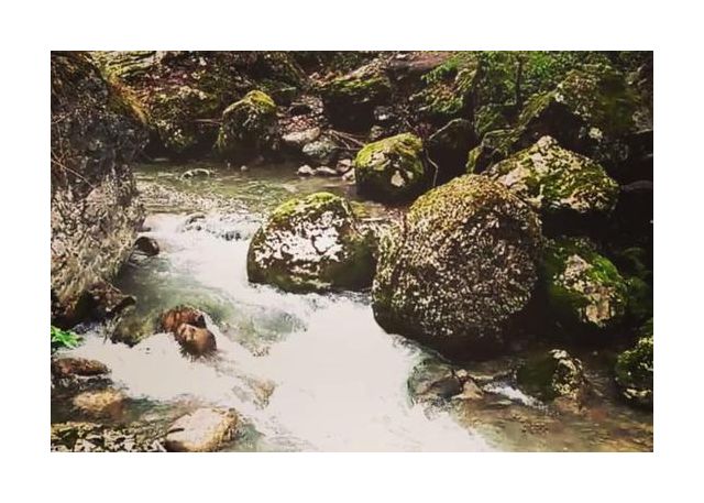 river in sanica city
