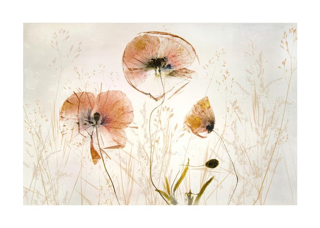 Light And Soft