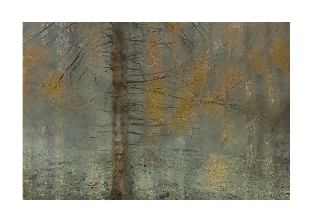 Pine Tree
