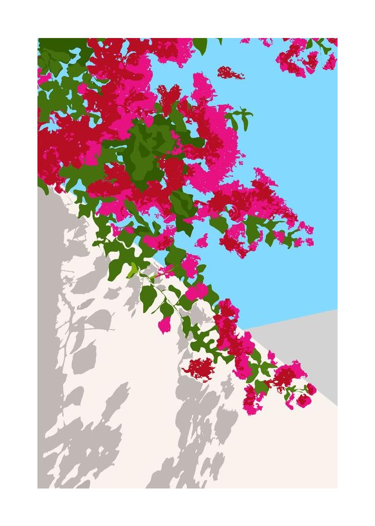 Bougainvillea Blossom