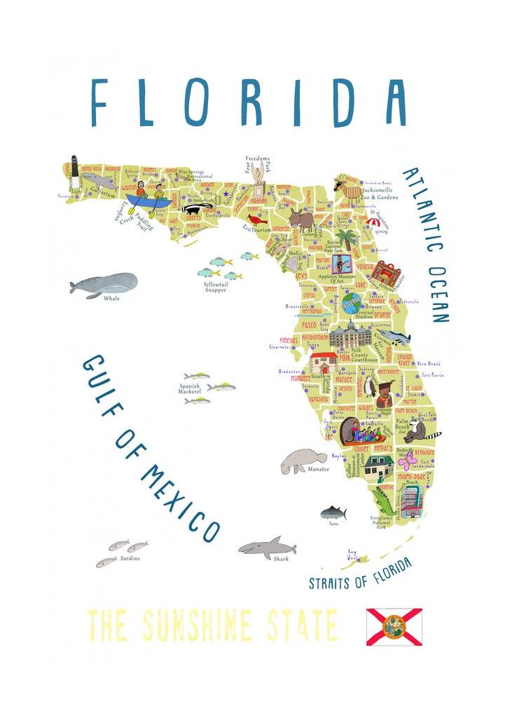 Illustrated Map Of Florida By Artist Carla Daly