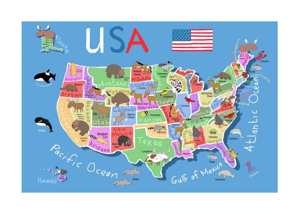 Illustrated Map Of United States Of America By Carla Daly