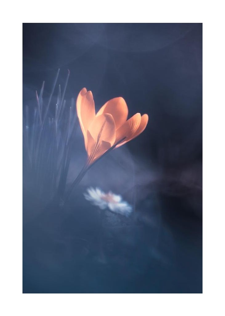 Upanishad