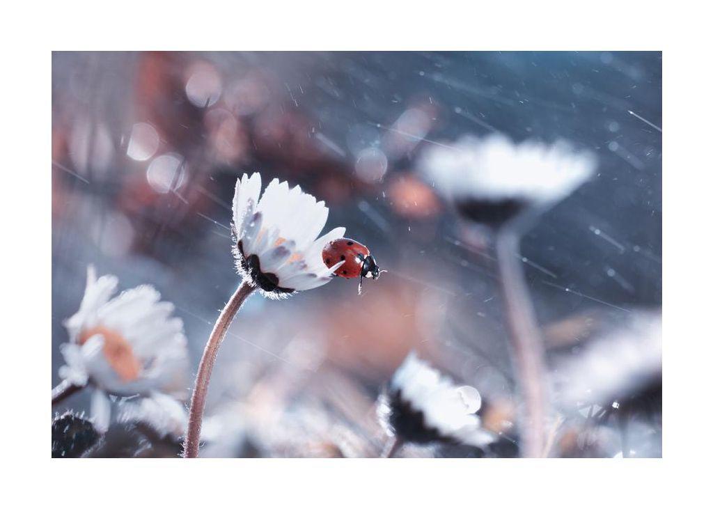 Spring Almost Coming