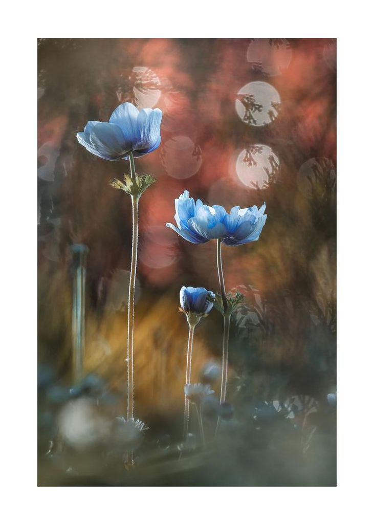 A Riot Of Colors In A Grey And Dreary World