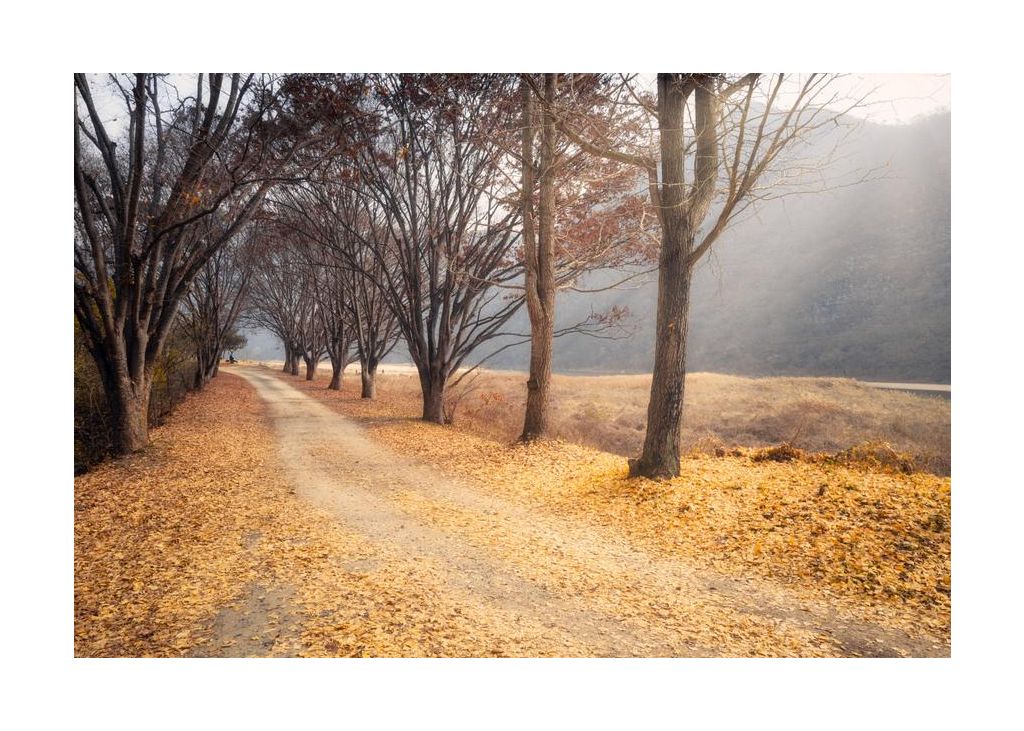 In The Middle Of Autumn