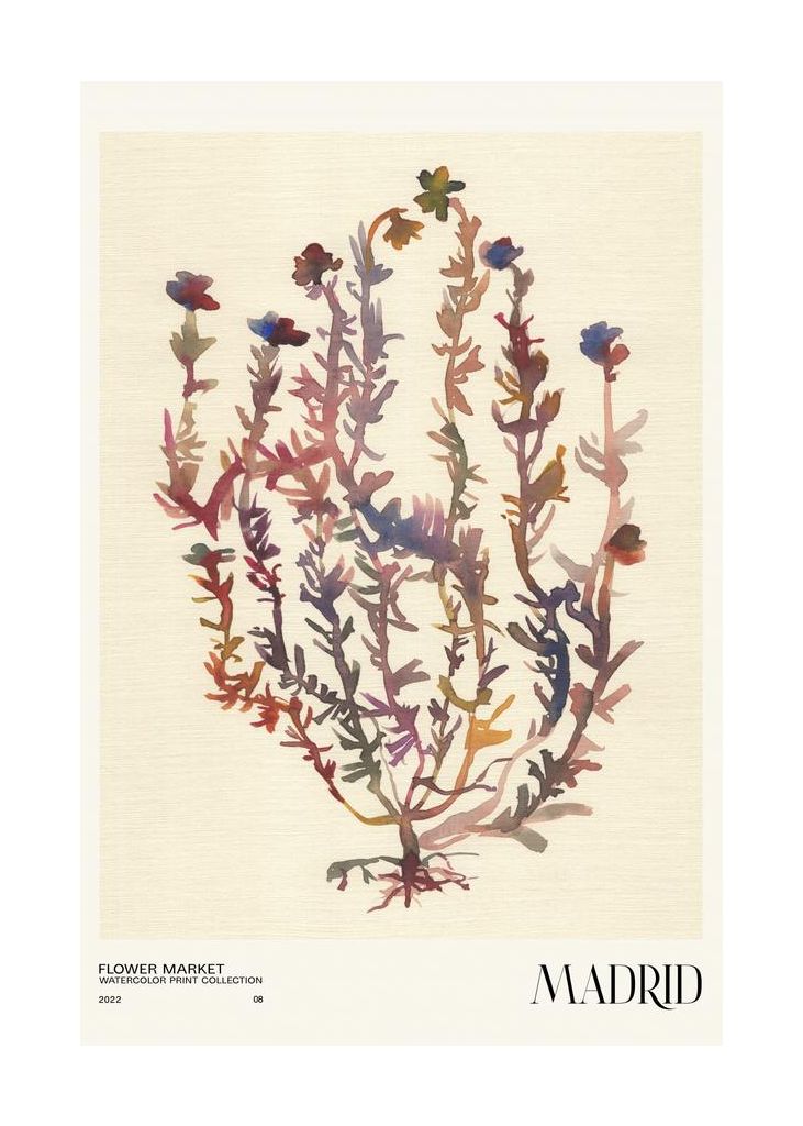 Watercolor Print Collection Flower Market Madrid