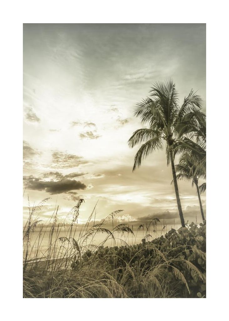 Bonita Beach Vintage Sunset