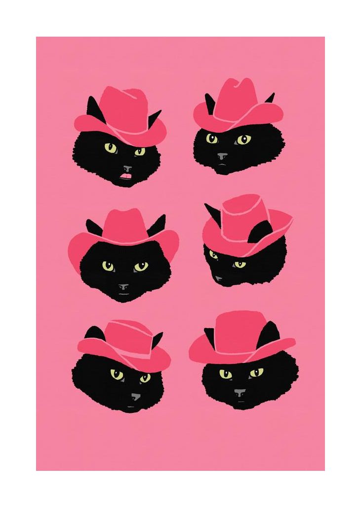 Marcy The Cowgirl Cat
