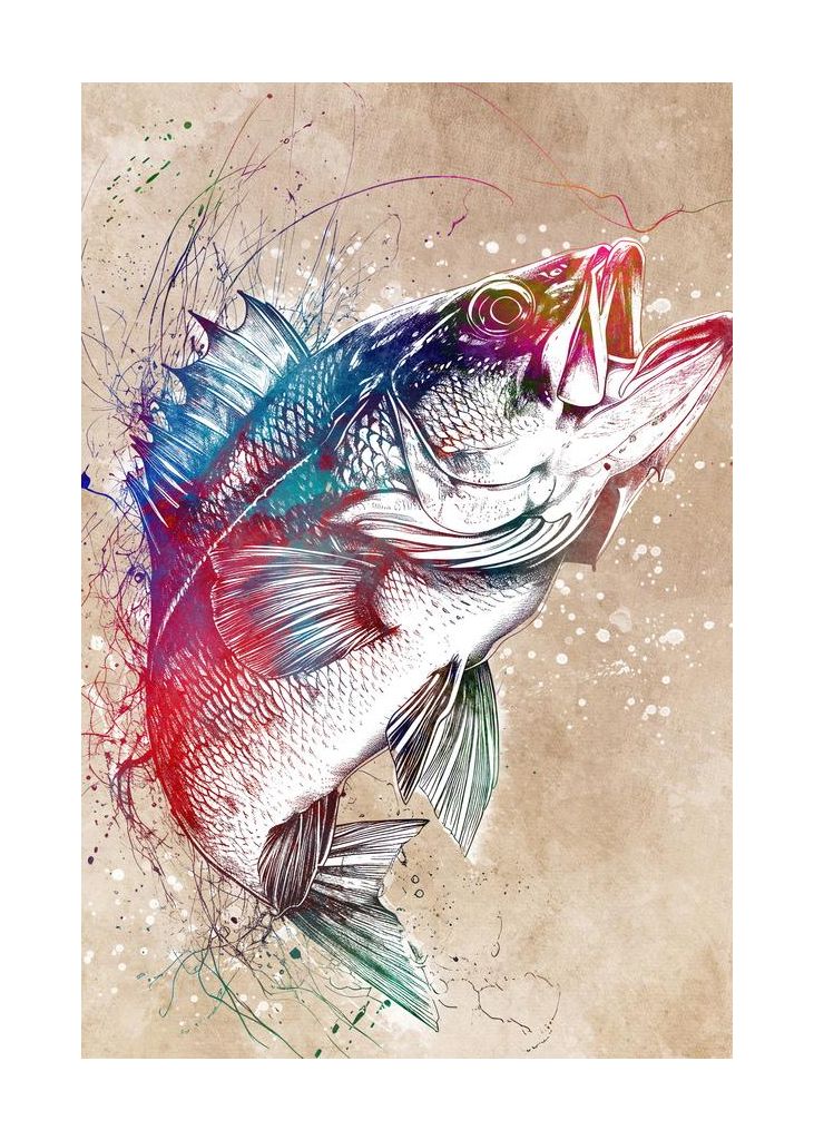 Sport Fishing