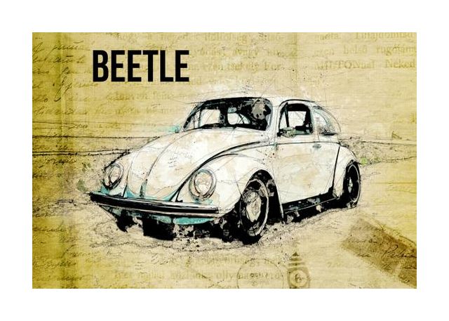 Volkswagen Vw Beetle