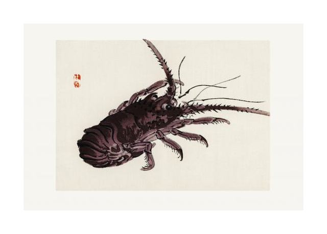 Crayfish