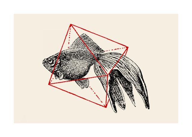 Fish In Geometrics Nº3