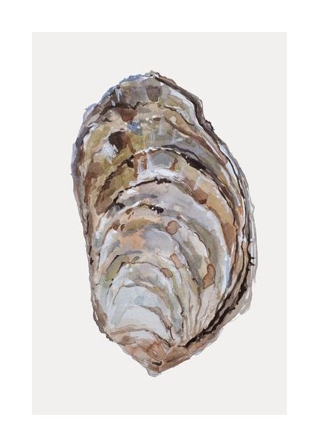 Oysters Elegance