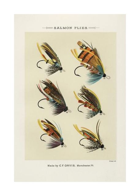 Salmon Fliee 1892