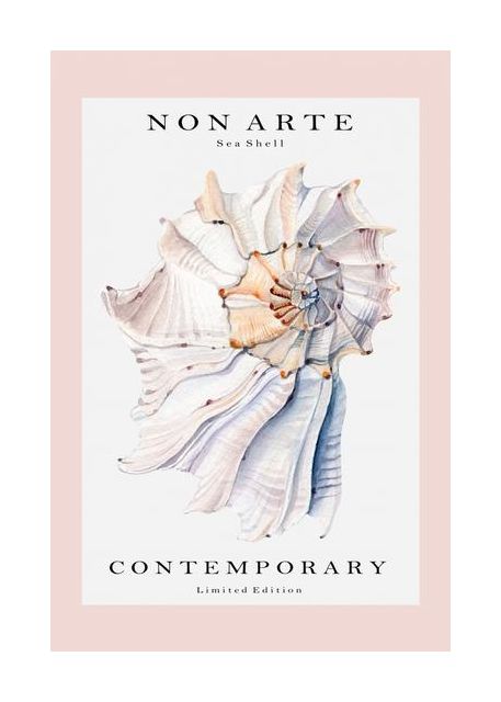 Non Arte Sea Shell No1