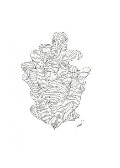 Coral Jpeg