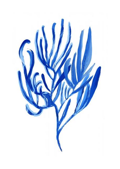 Blue Aquatic Plant Poster 4