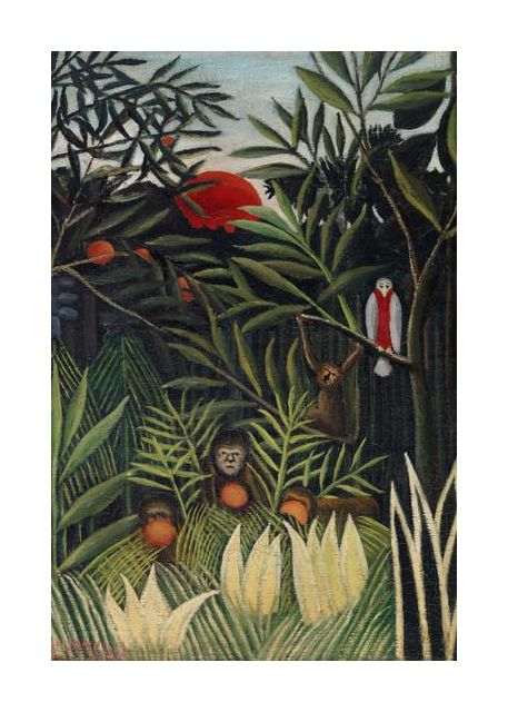 Monkeys And Parrot In The Virgin Forest