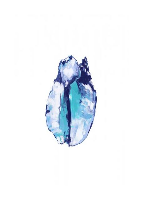 Blue Seashell On White Background No5