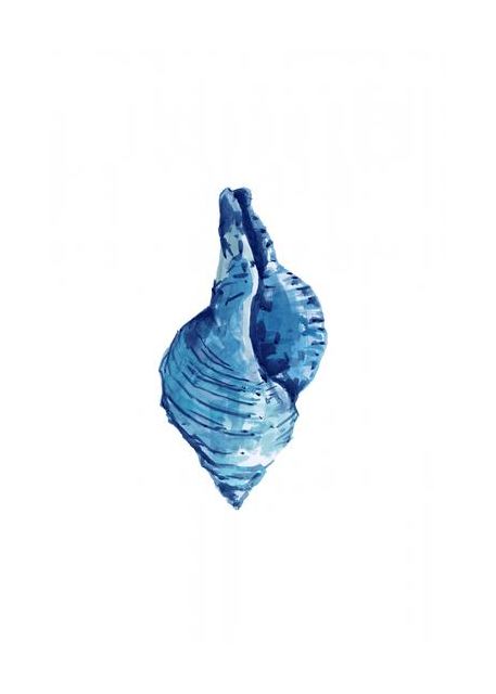 Blue Seashell On White Background No3