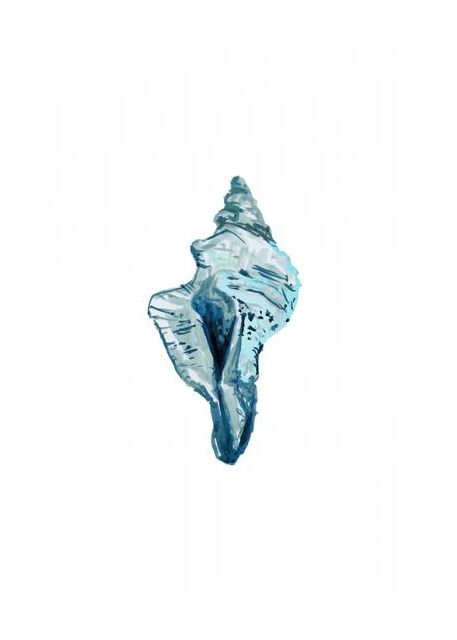Blue Seashell On White Background No4