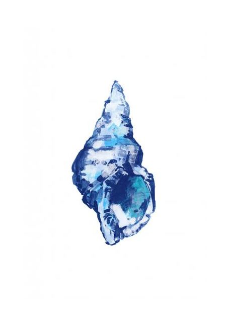 Blue Seashell On White Background No 2