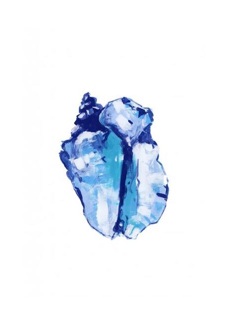 Blue Seashell On White Background No 1