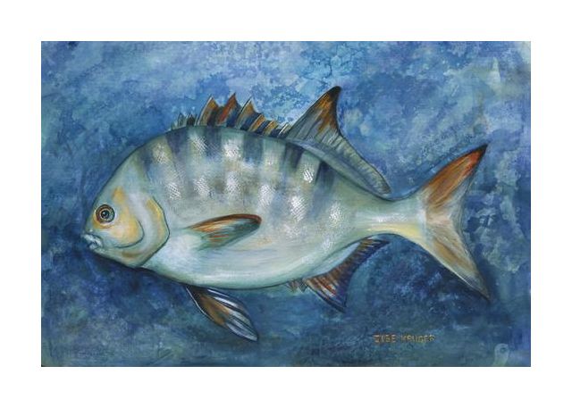 Oceanic Majesty
