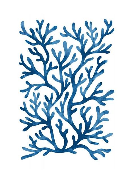 Coral Pattern