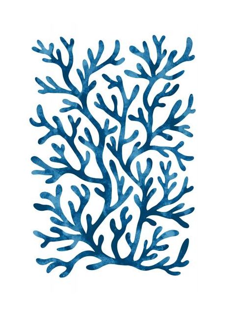 Coral Pattern Ii