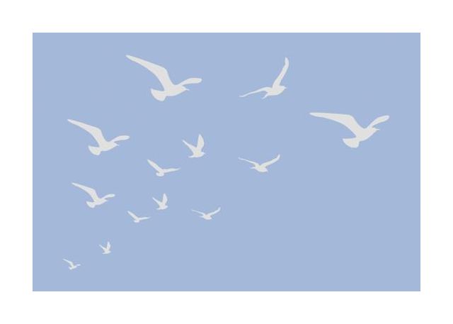 Seagulls Blue Background