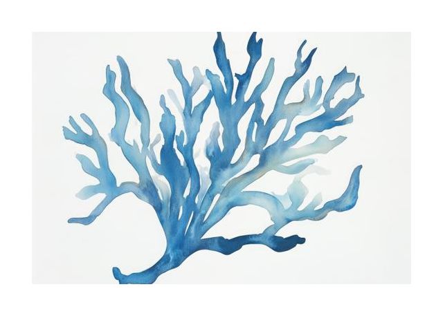 Blue Coral