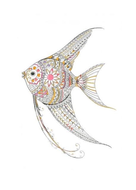 Angel Fish Delicate Tints
