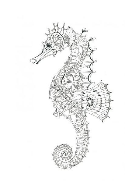 Ornate Seahorse Design