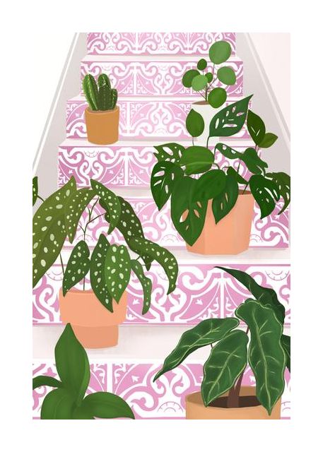 Plants