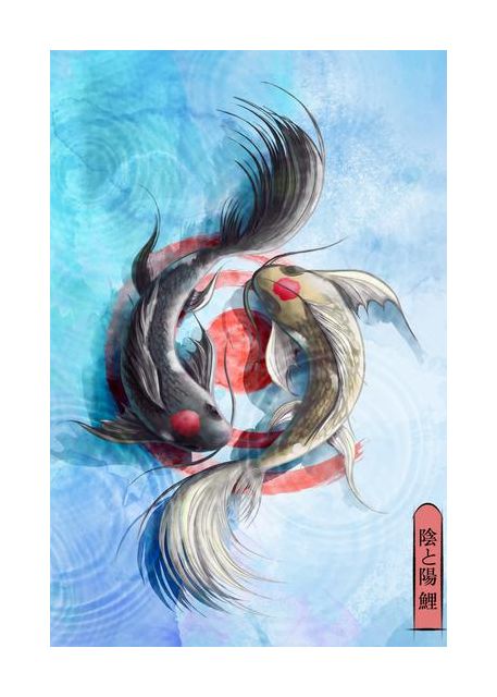 Light Koi