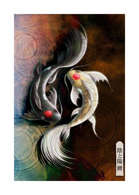 Dark Koi