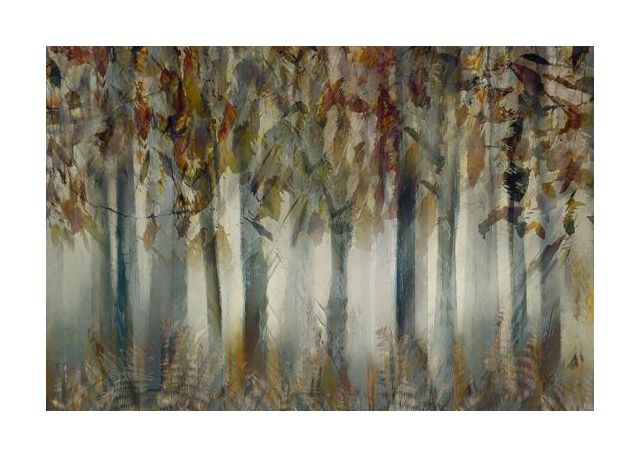 The Dark Forest