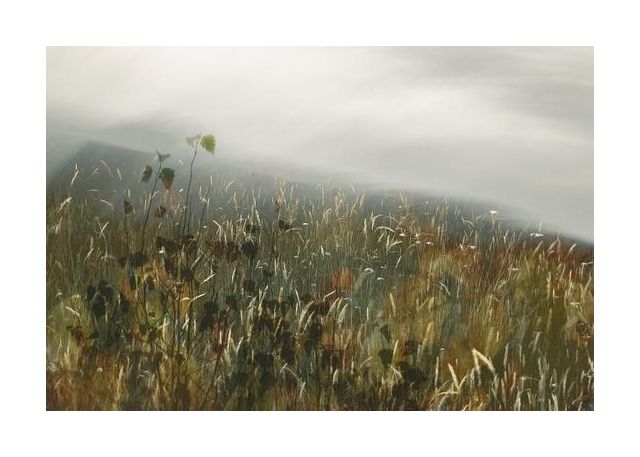 In The Field