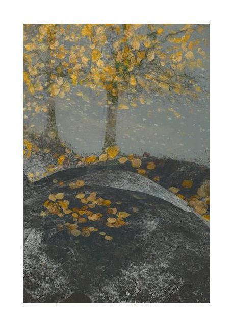 Falling Leaves