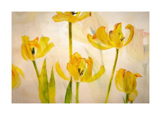 Flowering Tulips
