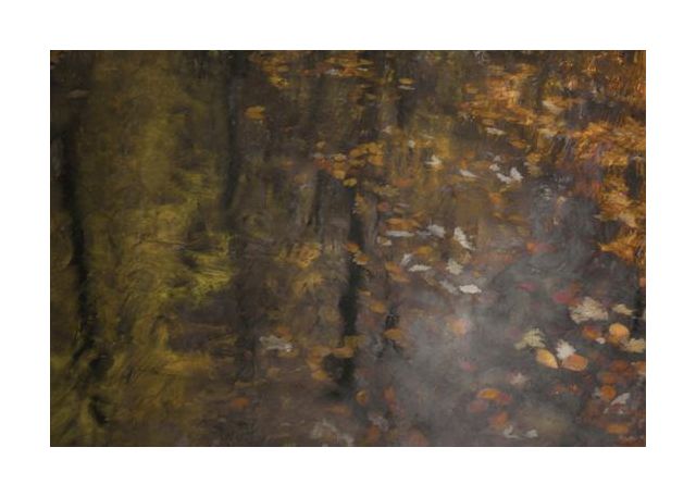 Autumn Impression