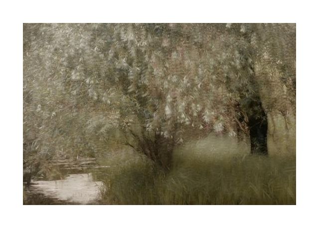 At The Riverbank