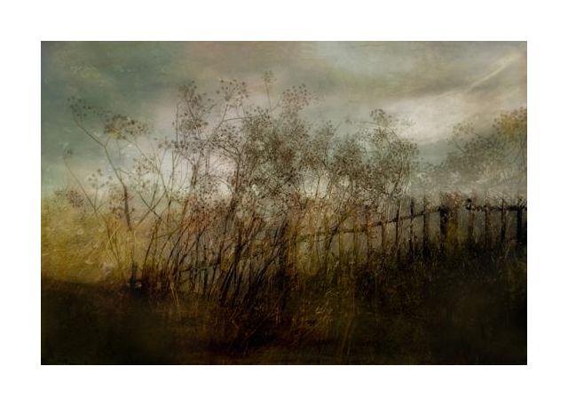 Old Dream