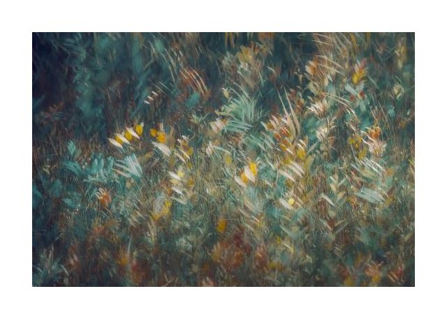 Late Summer